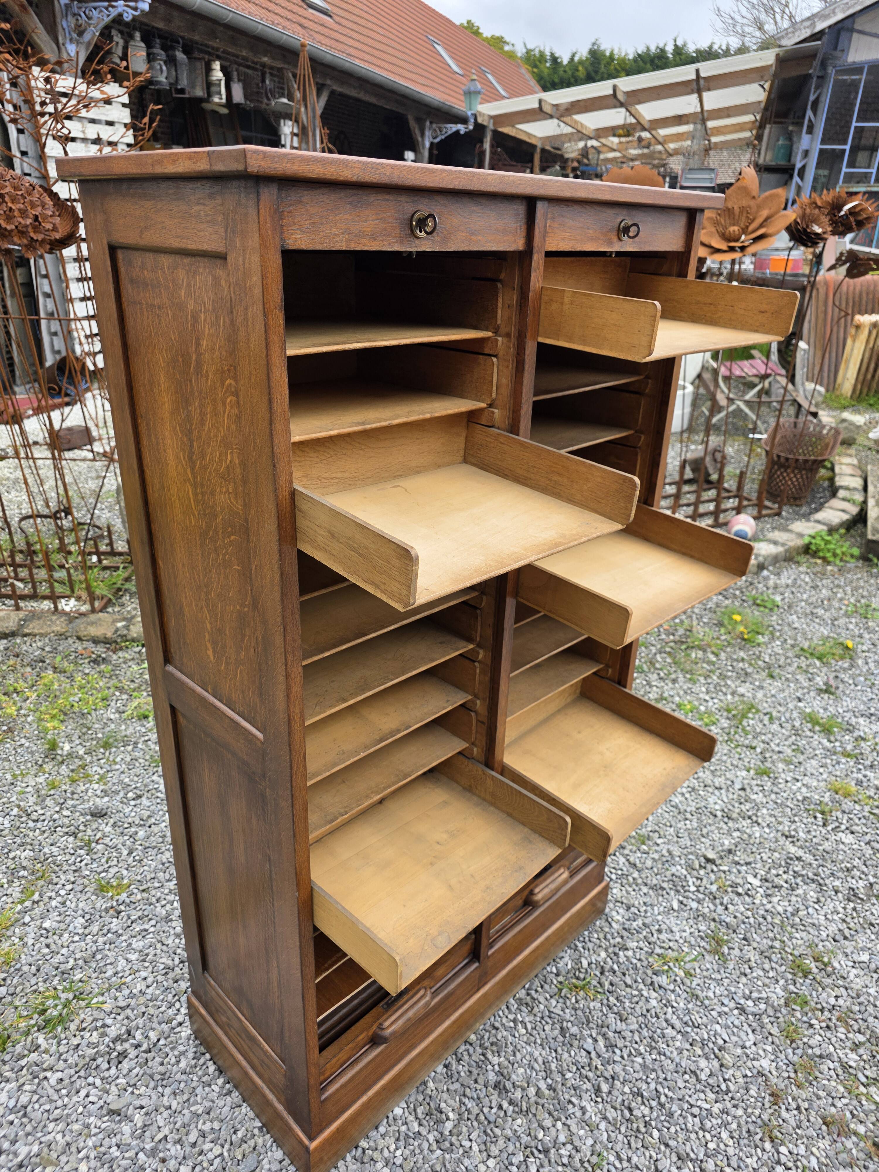 Antique double curtain cabinet in oak (internal drawers)