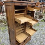Antique double curtain cabinet in oak (internal drawers)
