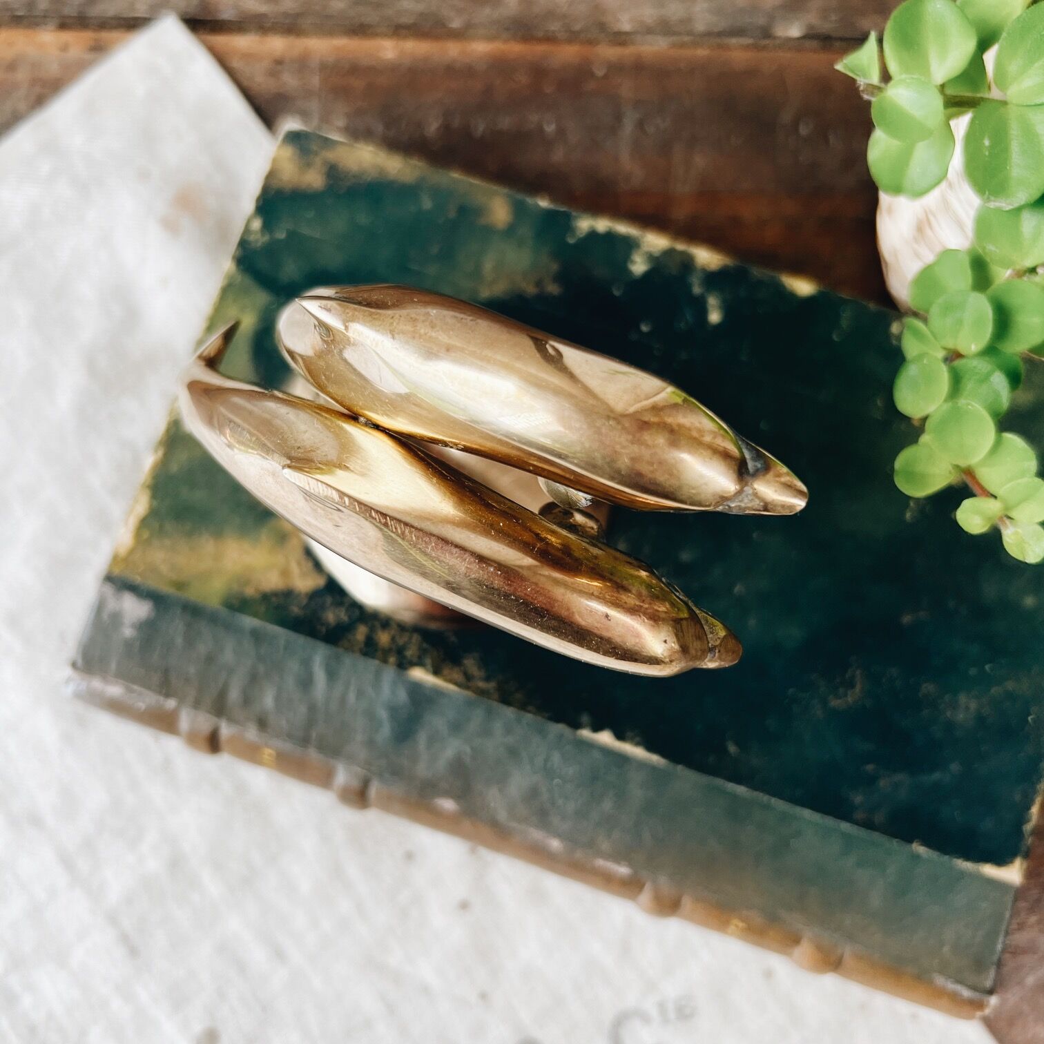 Duo of brass dolphins