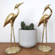 Couple large herons in polished golden brass