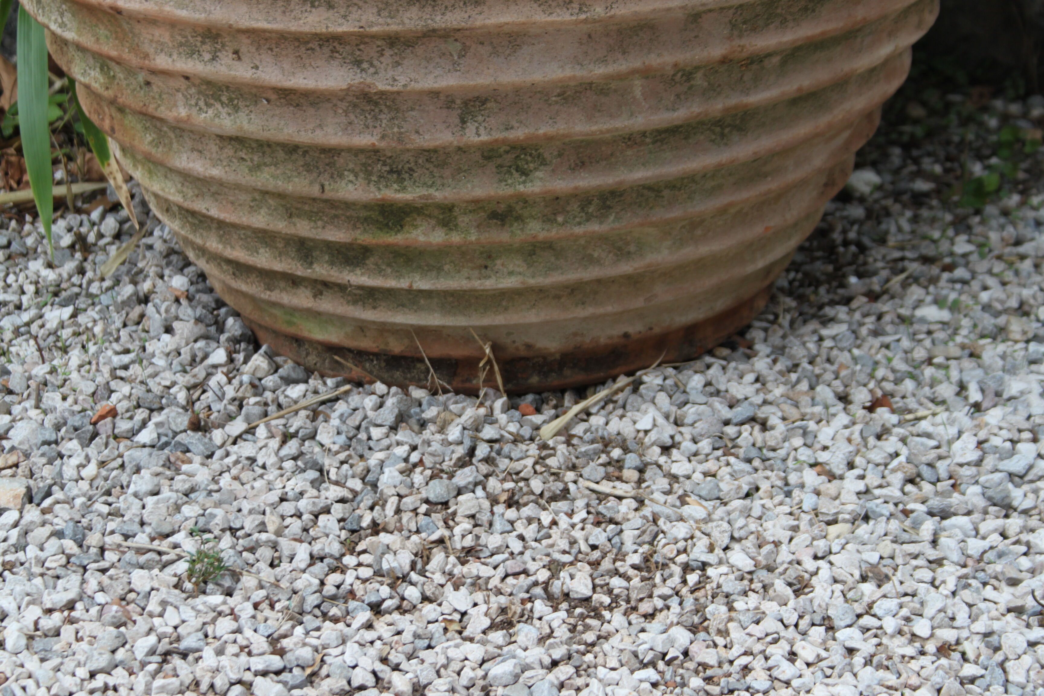 Old and big terracotta jar