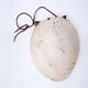New Guinea Shell Breastplate