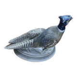 oiseaux royal Copenhague