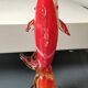 Vase Soliflore/Figurine Poisson Espadon en verre d Art soufflé Murano Italie. Haut 29 cm