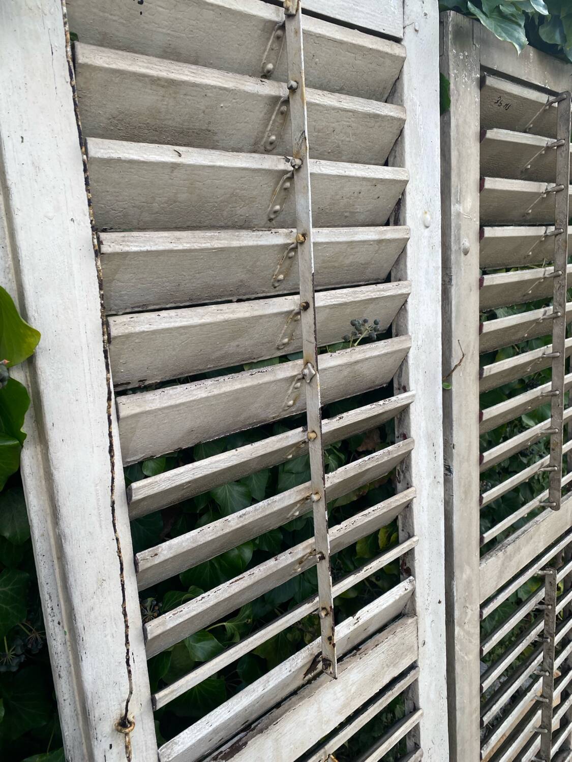 Old wooden shutters