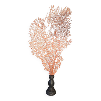 Gorgone rouge monté sur Socle en bois. H : 45 cm | PlaceOddity