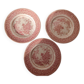 Lot de 3 assiettes anciennes décor floral . English Ironstone.