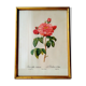 Botanical board