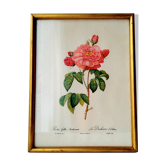 Botanical board