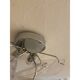 Set of Two "Rondini" Murano Glass Wall Sconces in Mazzega Style