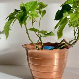 “Mur de Barrez” PLANTER, France, 1960s