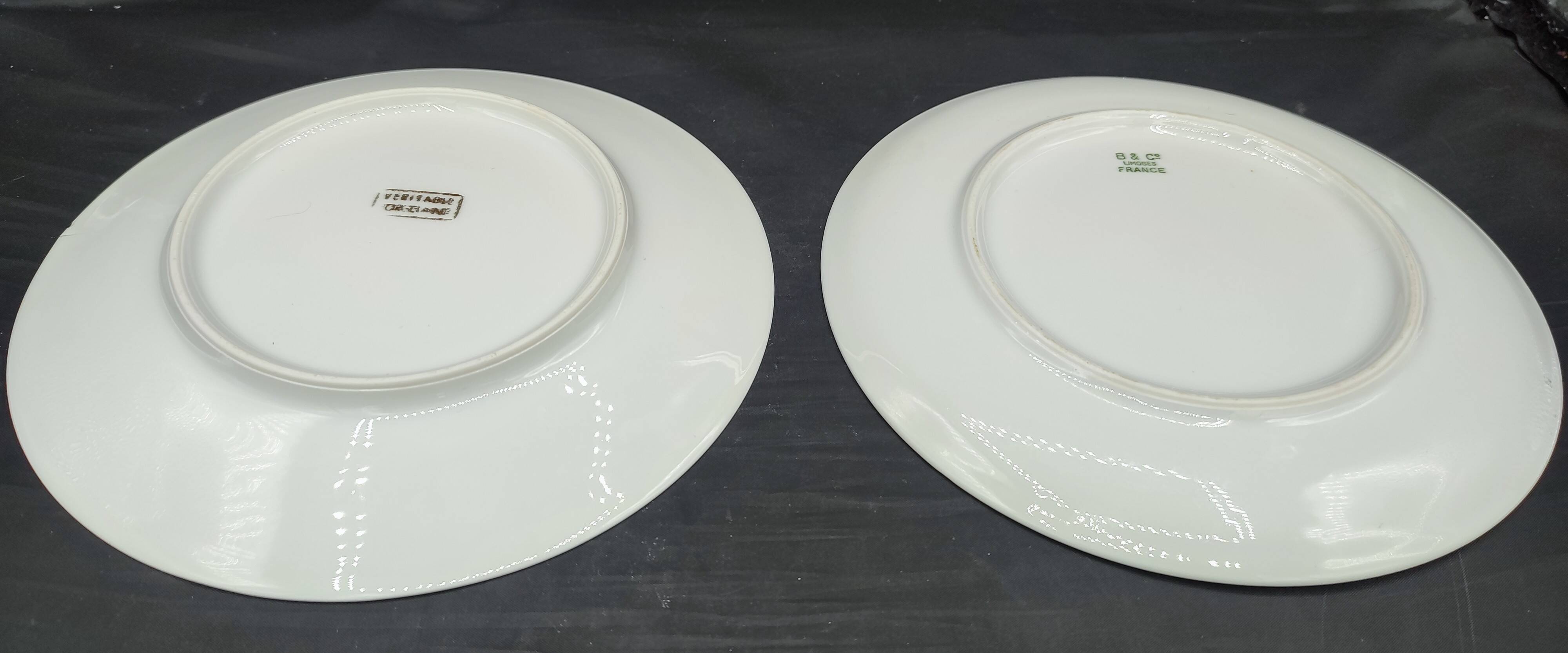 Set of 10 vintage dessert plates Limoges porcelain Bernardaud