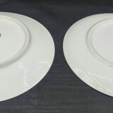 Set of 10 vintage dessert plates Limoges porcelain Bernardaud