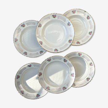 6 hollow plates in floral earthenware moulin des loups model "cordoba"