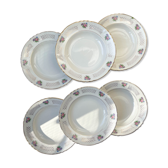 6 hollow plates in floral earthenware moulin des loups model "cordoba"