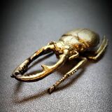 Bronze beetle