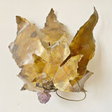 Grape brass wall light