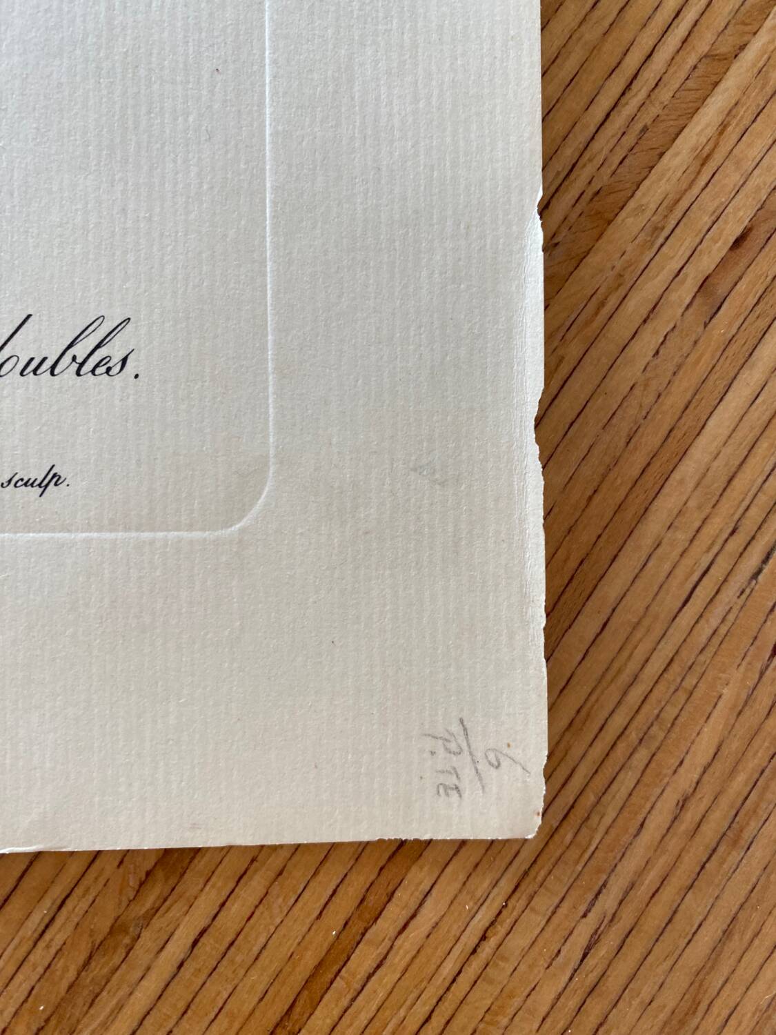 Botanical lithograph PJ Redouté Rosier des Hayes