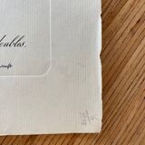 Botanical lithograph PJ Redouté Rosier des Hayes