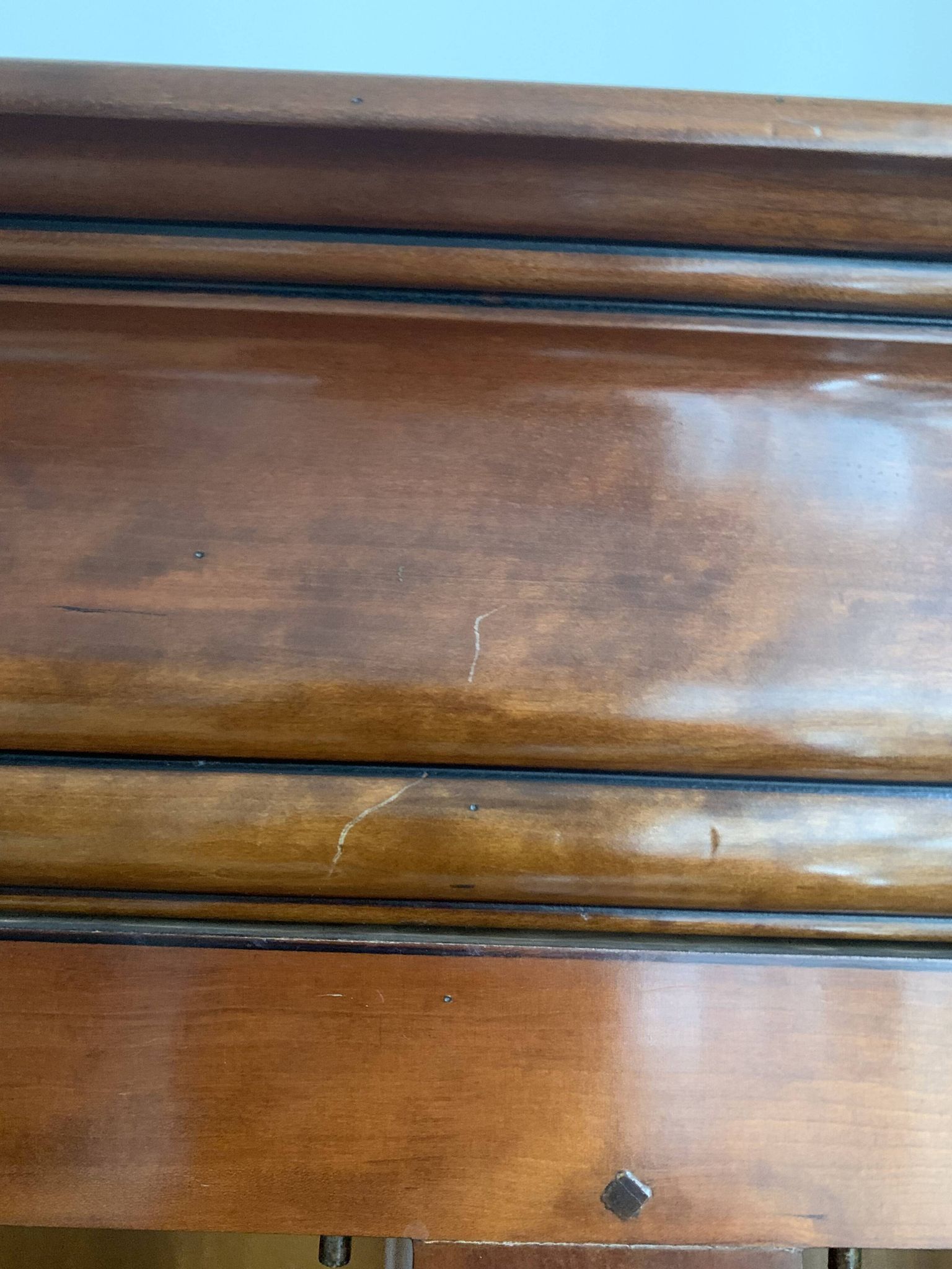 Display cabinet bookshelf
