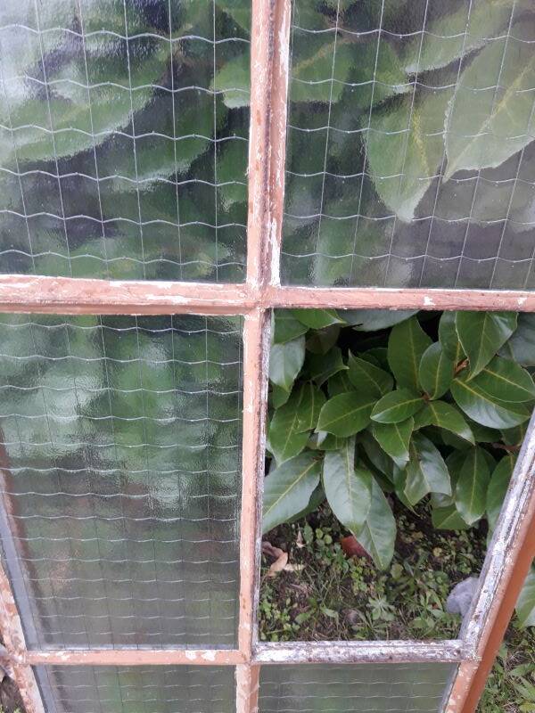 Window L107xH174 industrial curved metal glass roof frame reinforced glass