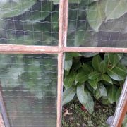 Window L107xH174 industrial curved metal glass roof frame reinforced glass