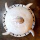 Vintage prehistory ceramic pot signed from the 50s 60s