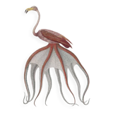 Chimera lithograph animal engraving - the pink flamoulpe