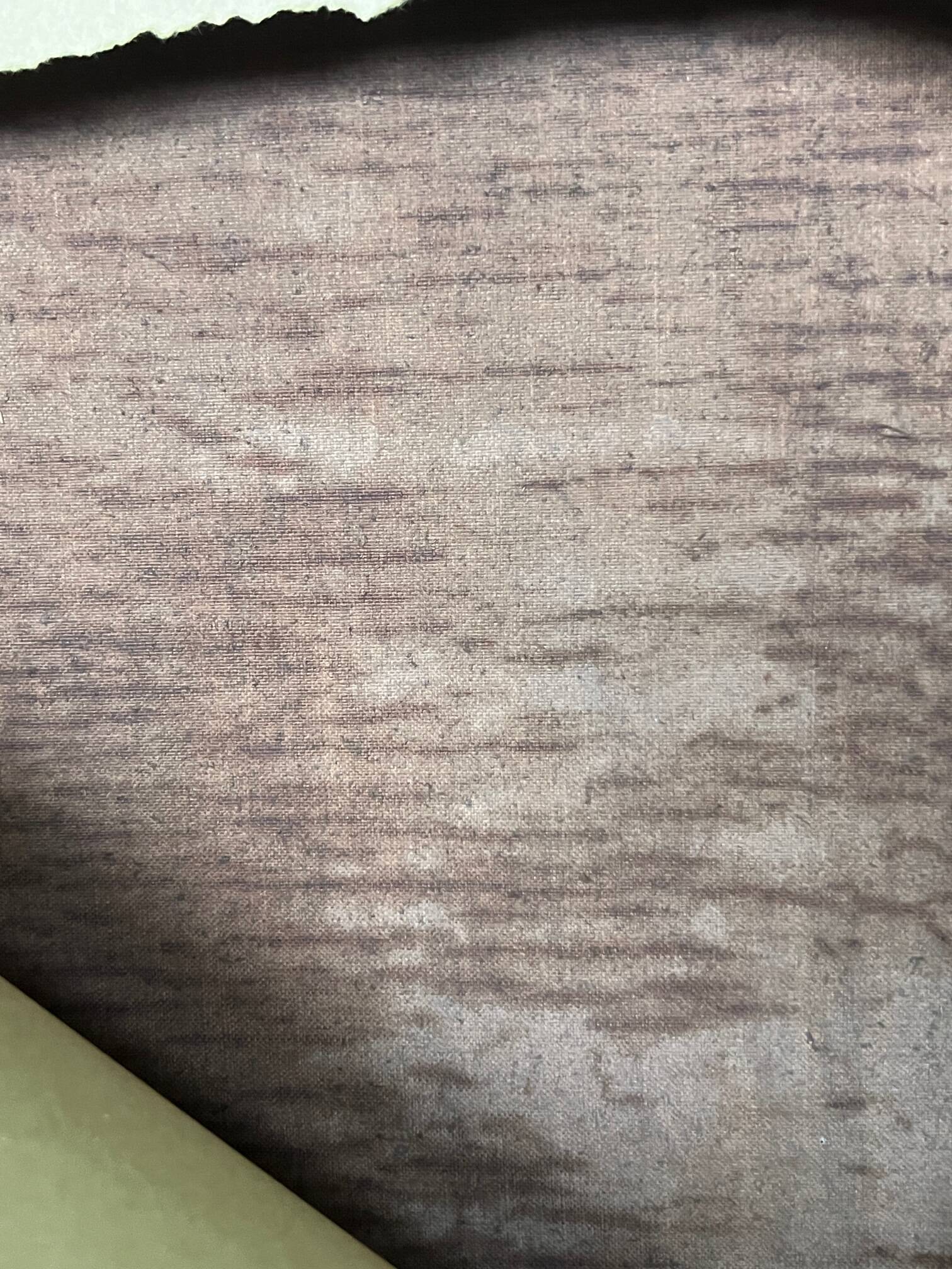 Jules Félix RAGOT (1835-1912) “Still life with fruit”.