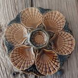Sarreguemines oyster plate