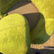 Vintage 1960s Lubke green velvet swivel armchair pair.