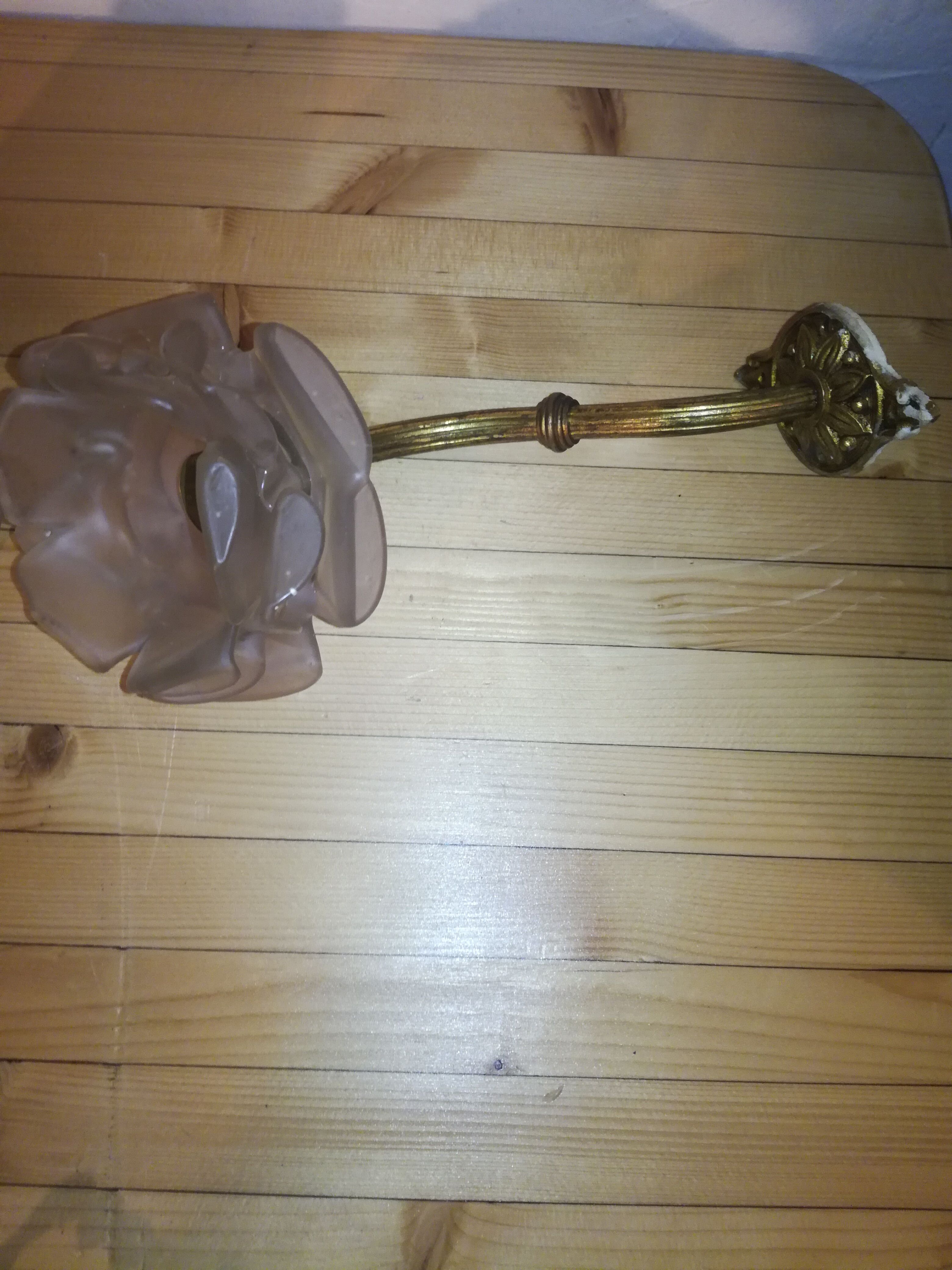 Pair of brass and glass flowers sconces