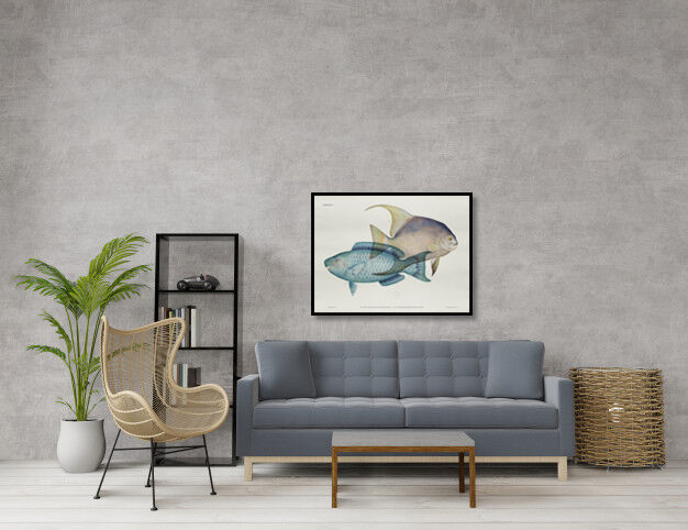 Lithography illustration animal fish