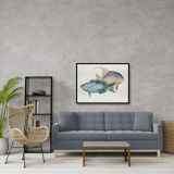 Lithographie illustration poisson animal