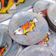 Fish service, Niderviller earthenware, vintage