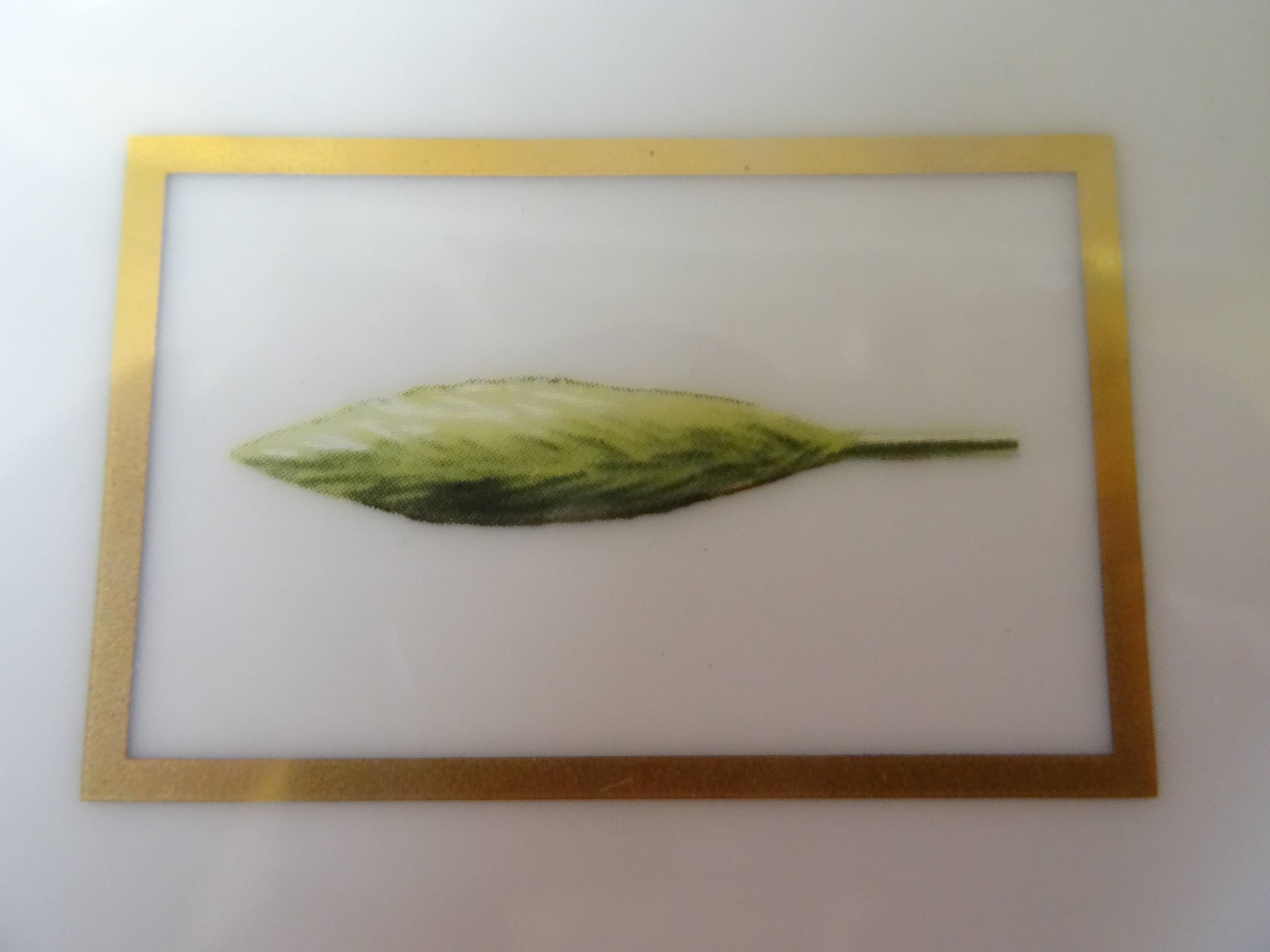 Empty porcelain pocket