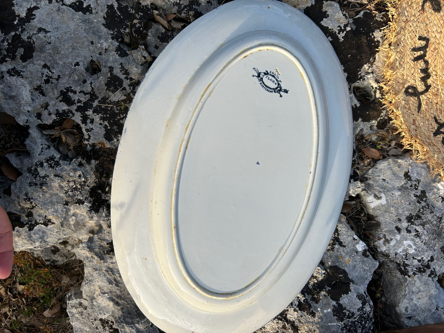 Flora Creil and Montereau dish 1880