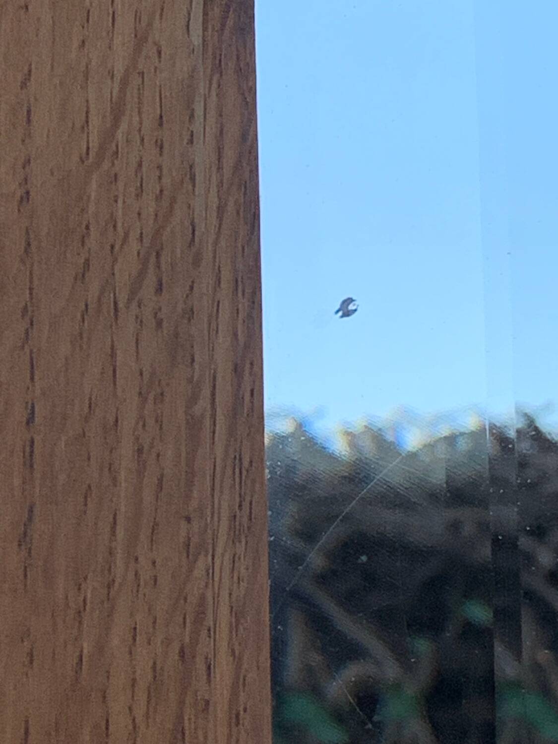 1920s Parisian Art Deco hotel wardrobe, removable