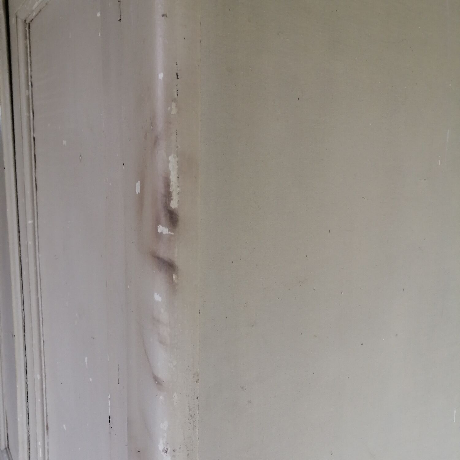 Parisian wardrobe 50s