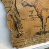 Pedagogical panel on the "Calf"