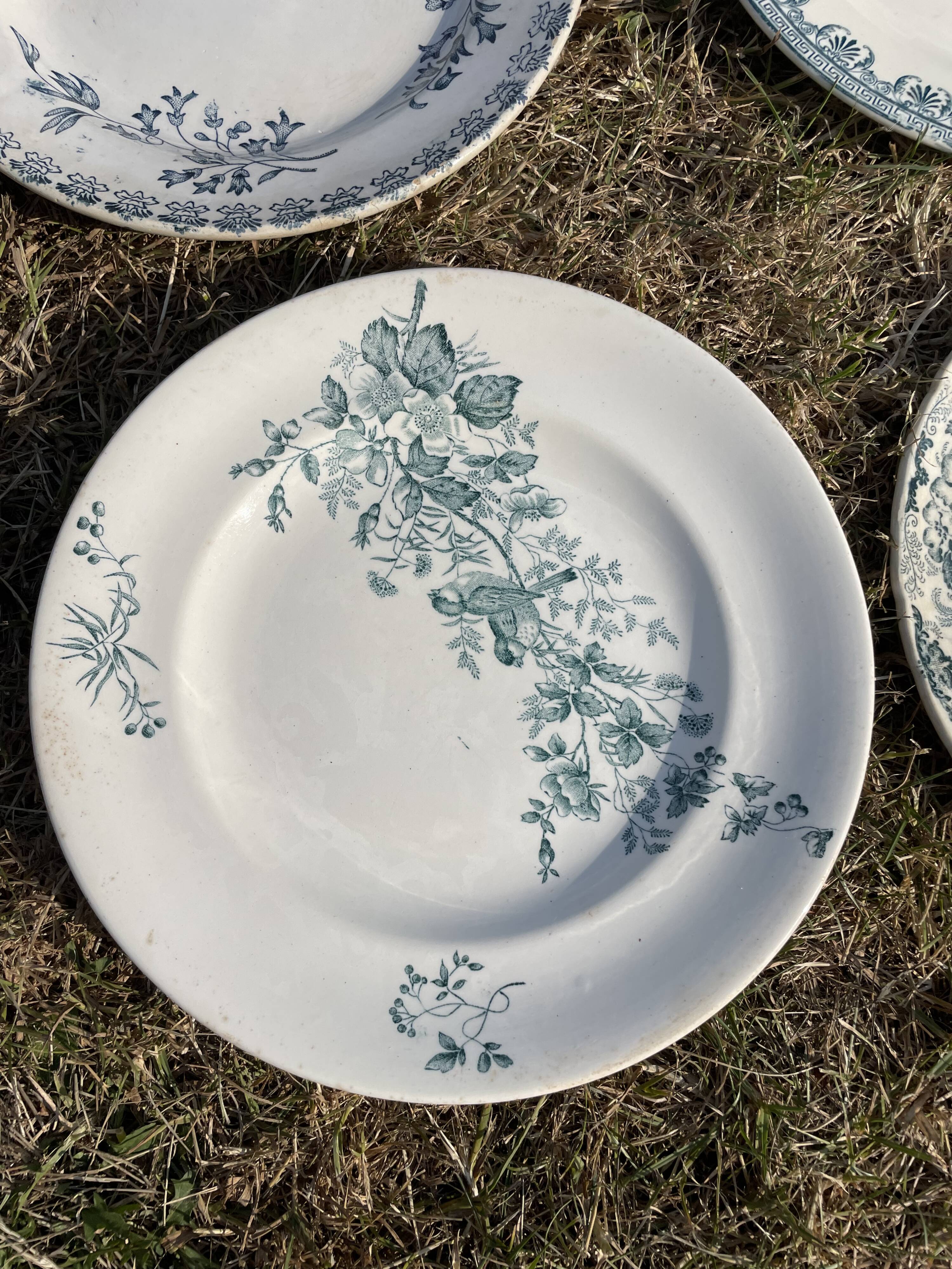 Set of 8 mismatched iron earth flat plates