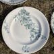 Set of 8 mismatched iron earth flat plates