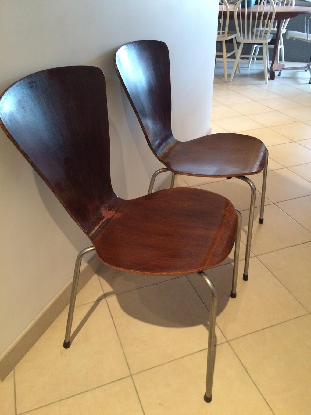 Pair of chairs 50s