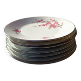 Set of 7 dessert plates