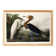 Poster about the Reddish Heron, after an old engraving from 1827.
