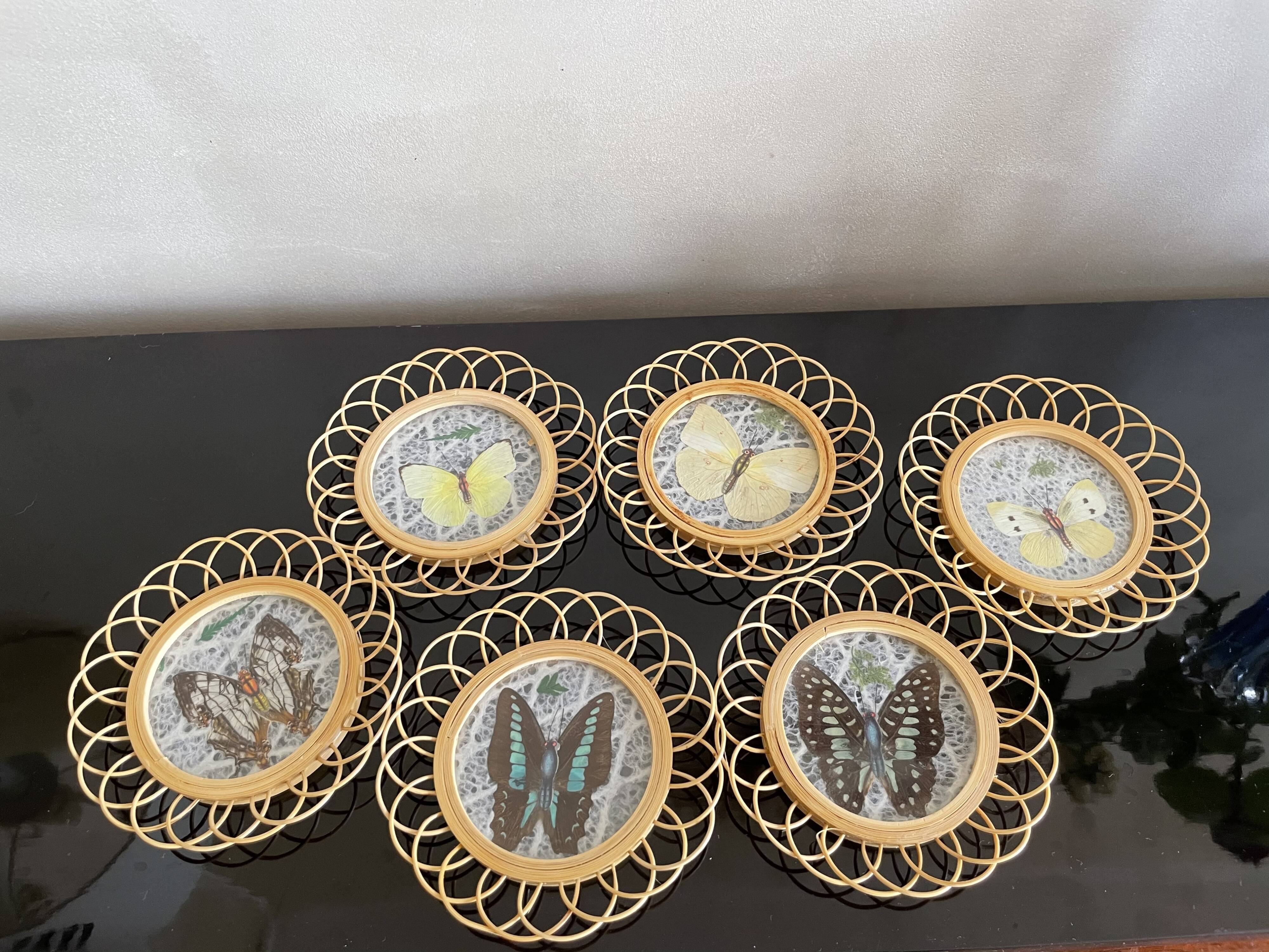 6 under glasses butterfly pattern and rattan