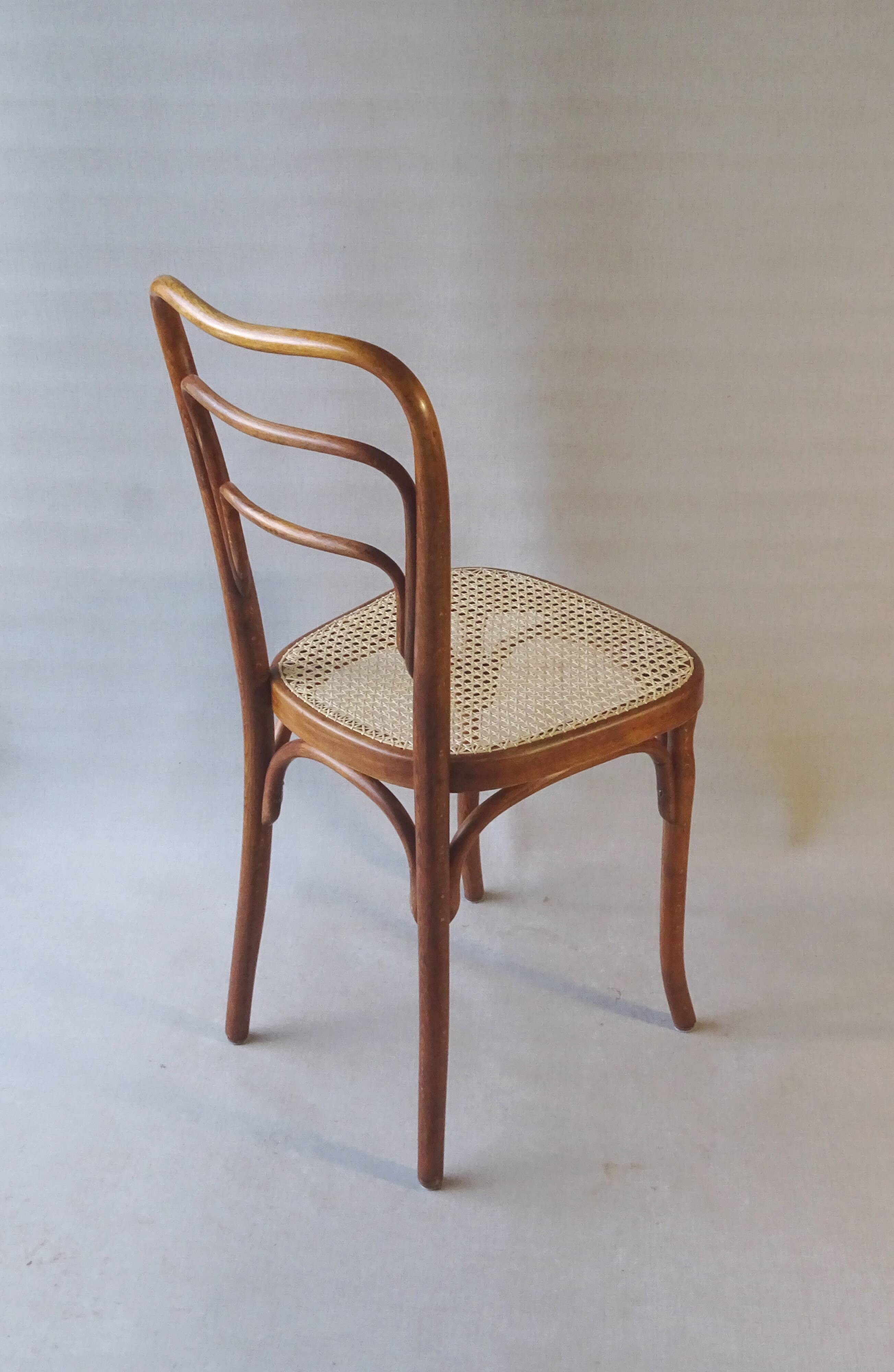 Kohn chair no. 248 with bent wood, viennese secession, around 1905 - no thonet -