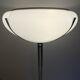 Mid Century Modern " Quadrifoglio " Floor Lamp, Gae Aulenti for Guzzini, Italy