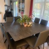 Triss tanami designer dining table