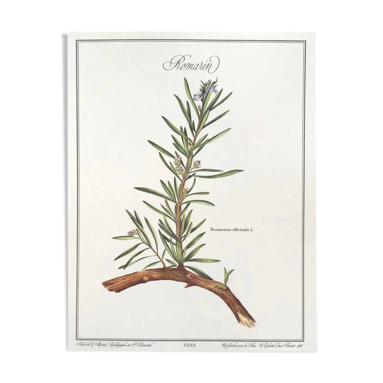Botanical board rosemary